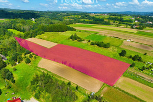 Działka na sprzedaż 9938m2 brzozowski Jasienica Rosielna - zdjęcie 1