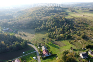 Działka na sprzedaż 10300m2 krośnieński Chorkówka Faliszówka - zdjęcie 3