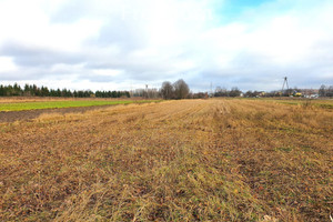 Działka na sprzedaż 6700m2 siedlecki Siedlce Ujrzanów - zdjęcie 1