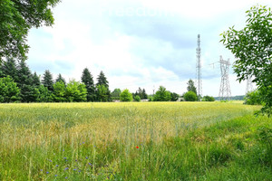 Działka na sprzedaż 24800m2 bialski Brzeska - zdjęcie 1