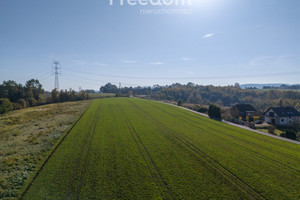 Działka na sprzedaż 19000m2 wadowicki Brzeźnica Świerkowa - zdjęcie 3