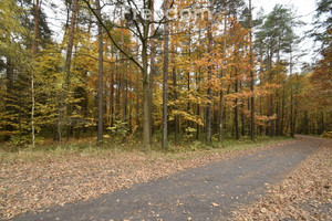 Działka na sprzedaż 4951m2 Rybnik Ochojec - zdjęcie 2