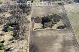 Działka na sprzedaż 36700m2 szczecinecki Borne Sulinowo Śmiadowo - zdjęcie 3