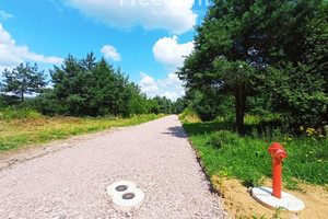 Działka na sprzedaż 1000m2 piaseczyński Tarczyn Suchodół Wspólna - zdjęcie 3