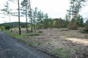 Działka na sprzedaż 1000m2 chodzieski Chodzież - zdjęcie 3