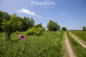 Działka na sprzedaż 18004m2 brzozowski Dydnia Krzywe - zdjęcie 2