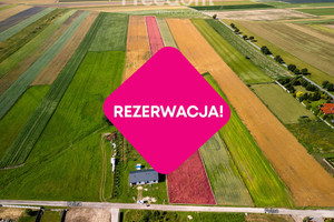 Działka na sprzedaż 15000m2 radomszczański Dobryszyce Polna - zdjęcie 1