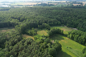 Działka na sprzedaż śremski Dolsk - zdjęcie 3