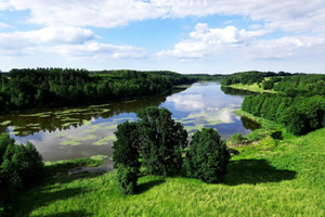 Działka na sprzedaż iławski Zalewo Boreczno - zdjęcie 1