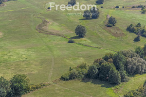 Działka na sprzedaż 3924m2 otwocki Karczew Ostrówiec - zdjęcie 3