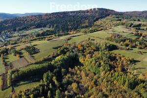 Działka na sprzedaż 3600m2 krośnieński Rymanów Posada Górna - zdjęcie 3