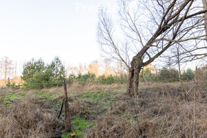 Działka na sprzedaż 1196m2 pilski Szydłowo Kotuń - zdjęcie 2