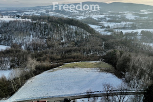 Działka na sprzedaż 4544m2 jasielski Brzyska Błażkowa - zdjęcie 3