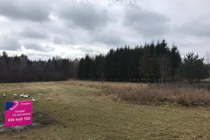 Działka na sprzedaż 3800m2 przysuski Gielniów Mechlin - zdjęcie 1