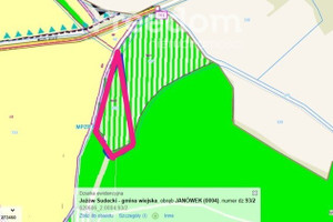 Działka na sprzedaż 8000m2 karkonoski Jeżów Sudecki Janówek - zdjęcie 2