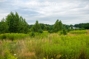 Działka na sprzedaż 4686m2 wołomiński Klembów Rasztów - zdjęcie 2