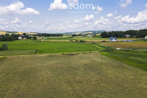 Działka na sprzedaż 4443m2 ropczycko-sędziszowski Iwierzyce Wiercany - zdjęcie 1