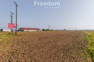 Działka na sprzedaż 27500m2 tarnowski Żabno - zdjęcie 2