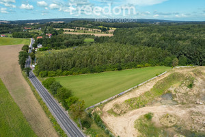 Działka na sprzedaż 7100m2 gdański Trąbki Wielkie Warcz - zdjęcie 2