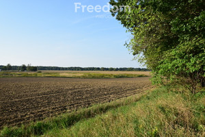 Działka na sprzedaż 1700m2 opolski Niemodlin Zamkowa - zdjęcie 3