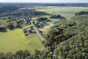 Działka na sprzedaż opolski Niemodlin Jaczowice - zdjęcie 1