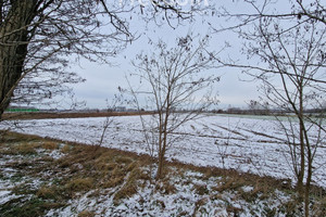 Działka na sprzedaż bialski Biała Podlaska Sitnik - zdjęcie 2