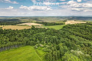 Działka na sprzedaż 11700m2 przemyski Bircza Borownica - zdjęcie 1