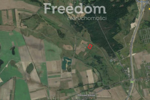 Działka na sprzedaż 17000m2 legnicki Miłkowice Pątnówek - zdjęcie 3