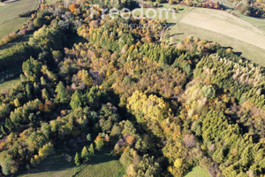 Działka na sprzedaż 3600m2 krośnieński Rymanów Posada Górna - zdjęcie 2