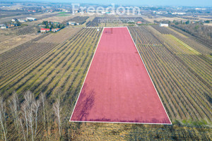 Działka na sprzedaż 22550m2 piaseczyński Tarczyn Marianka - zdjęcie 3