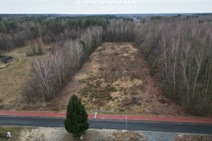 Działka na sprzedaż 6300m2 łęczyński Ludwin Rozpłucie Drugie - zdjęcie 2