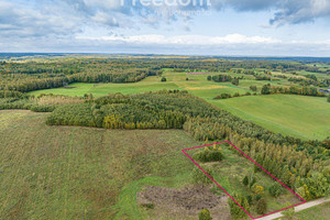 Działka na sprzedaż 6490m2 elbląski Młynary Sąpy - zdjęcie 1