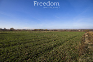 Działka na sprzedaż 6800m2 rzeszowski Świlcza Dąbrowa - zdjęcie 3