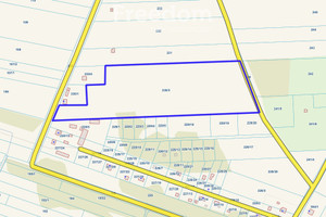 Działka na sprzedaż 42800m2 białobrzeski Stromiec Boska Wola - zdjęcie 2