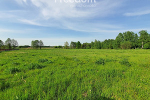 Działka na sprzedaż 2271m2 Biała Podlaska Podłączna - zdjęcie 1