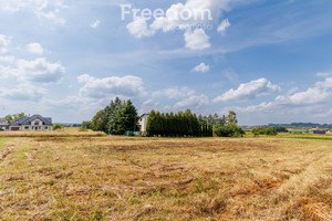 Działka na sprzedaż 3344m2 tarnowski Lisia Góra Pawęzów - zdjęcie 2