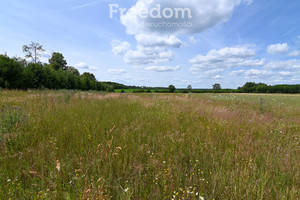 Działka na sprzedaż 4800m2 wałecki Wałcz Szwecja - zdjęcie 2