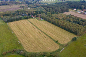 Działka na sprzedaż 3300m2 olsztyński Jonkowo Wrzesina - zdjęcie 3