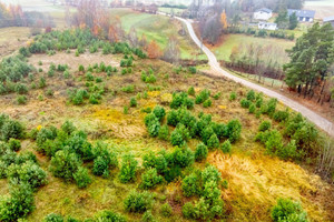 Działka na sprzedaż 15200m2 gdański Przywidz Czarna Huta Szara - zdjęcie 1