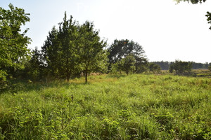 Działka na sprzedaż 1700m2 opolski Niemodlin Zamkowa - zdjęcie 1