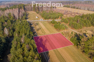 Działka na sprzedaż 1500m2 grodziski Żabia Wola Grzegorzewice Tarczyńska - zdjęcie 2