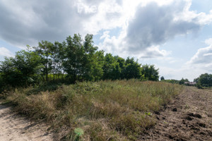 Działka na sprzedaż 2200m2 chodzieski Margonin Radwanki - zdjęcie 3