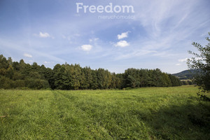 Działka na sprzedaż 1600m2 krośnieński Korczyna Krasna - zdjęcie 1