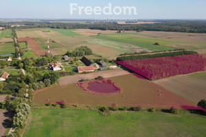 Działka na sprzedaż 37419m2 bartoszycki Sępopol Ostre Bardo - zdjęcie 1