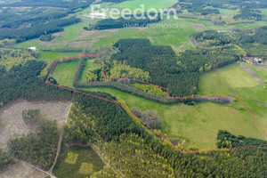 Działka na sprzedaż 158700m2 szczycieński Wielbark Przeździęk Wielki - zdjęcie 2