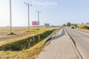 Działka na sprzedaż 10000m2 tarnowski Żabno - zdjęcie 3