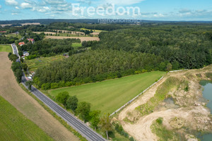 Działka na sprzedaż 7100m2 gdański Trąbki Wielkie Warcz - zdjęcie 3