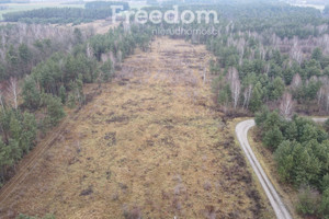 Działka na sprzedaż 30100m2 miński Mrozy Wola Paprotnia Jana Kilińskiego - zdjęcie 1