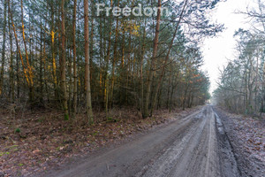 Działka na sprzedaż 11932m2 piaseczyński Tarczyn Świętochów Leśna - zdjęcie 3