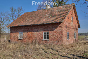 Działka na sprzedaż elbląski Młynary - zdjęcie 3